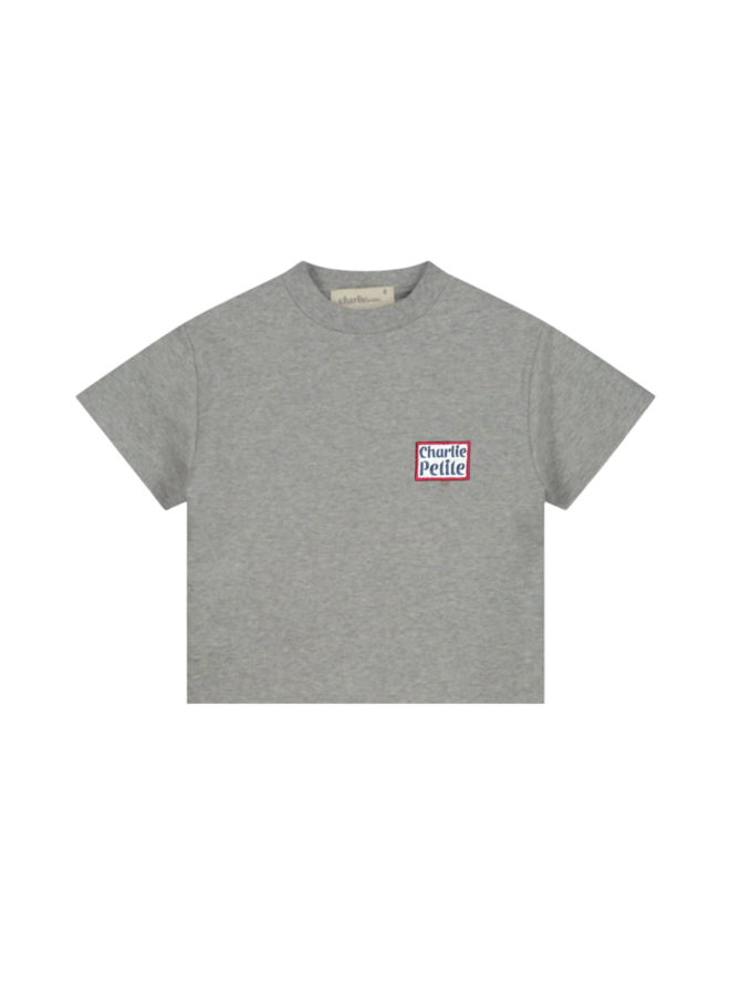 Charlie Petite - Presley t-shirt - Grey melange