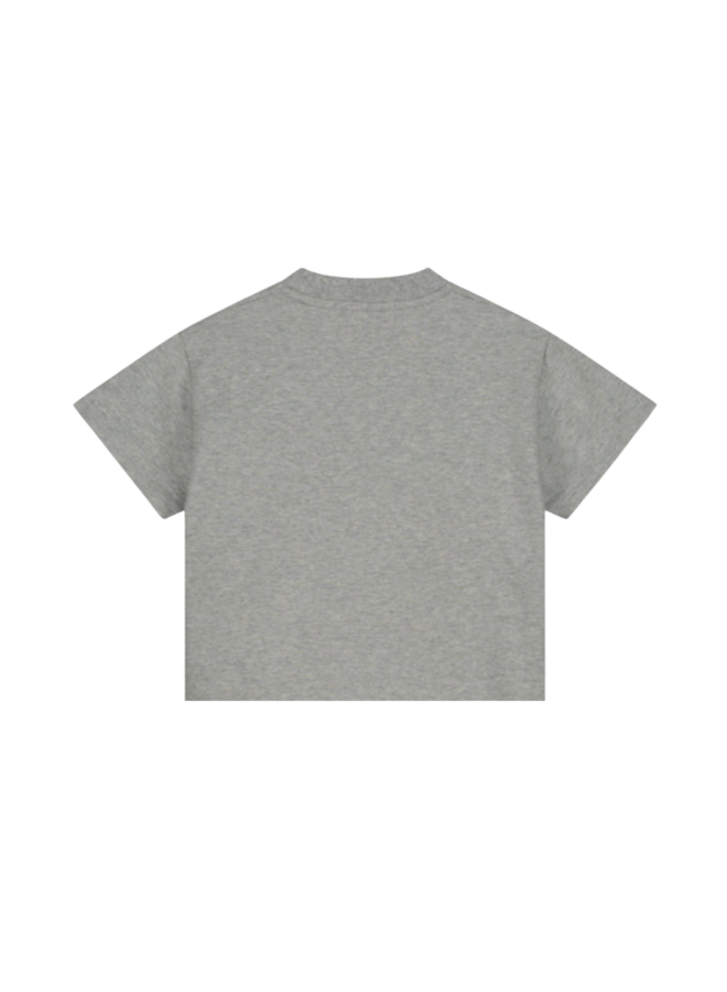 Charlie Petite - Presley t-shirt - Grey melange