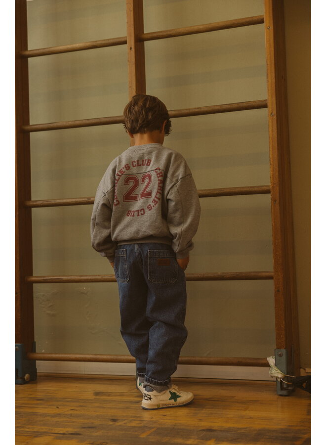 Charlie Petite - Pepe sweater - Grey melange