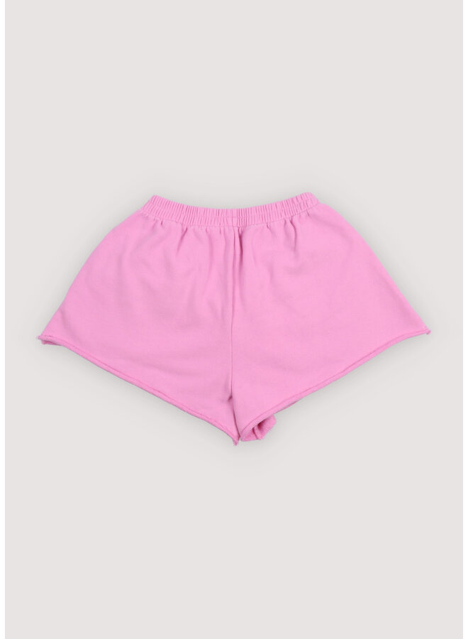 The New Society - TNS logo short - Pink lavander