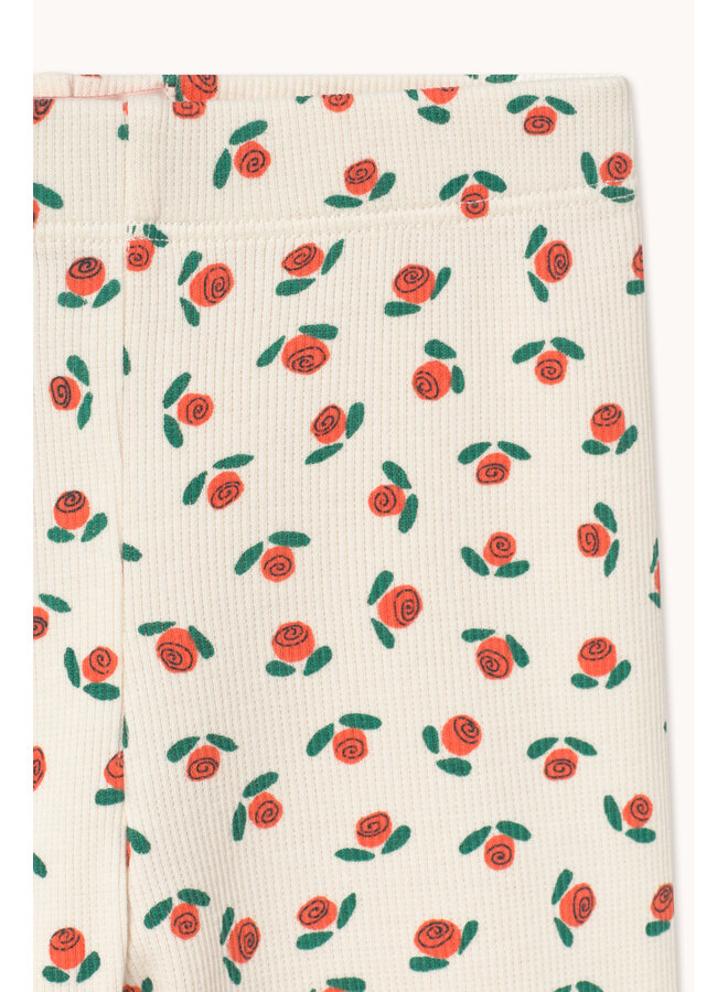 Tiny Cottons - Tiny roses rib baby pant