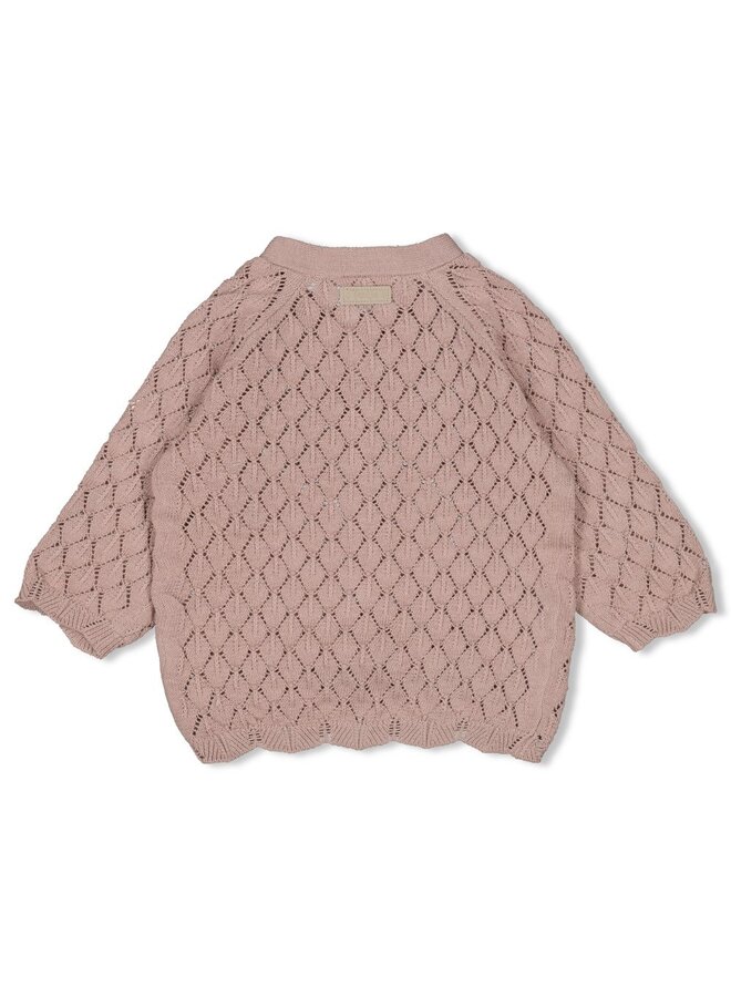 Feetje - Vestje gebreid - Delicate Flower - Taupe