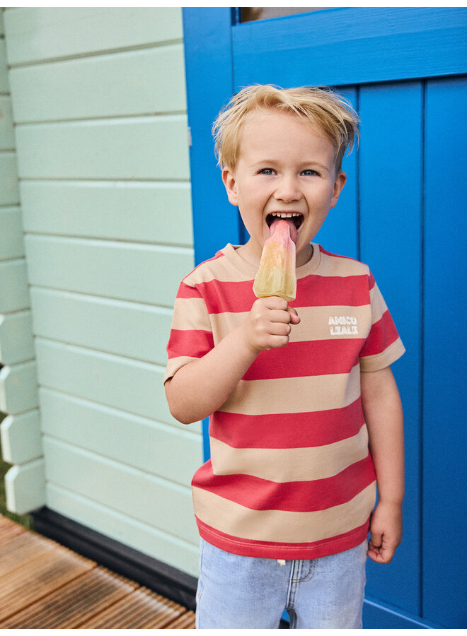 Daily7 - T-shirt big stripe - Chrysanthemum