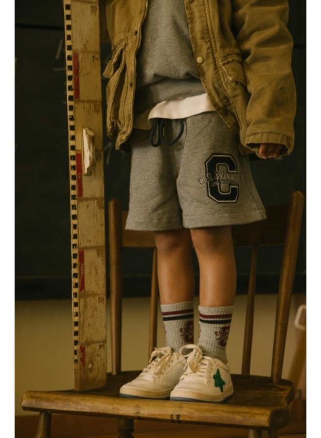 Charlie Petite - Phebe socks - Grey