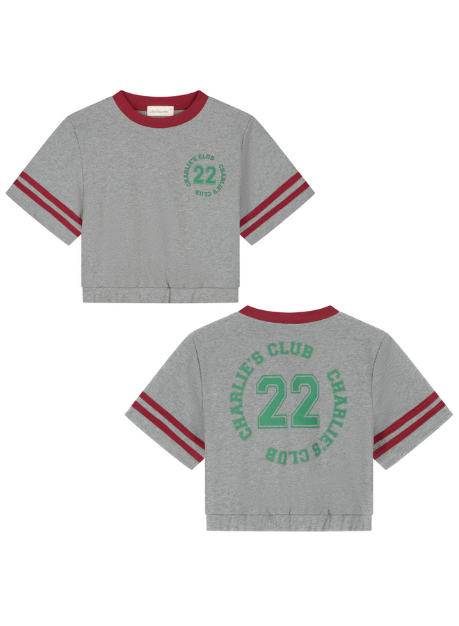 Charlie Petite - Lianne t-shirt - Grey melange