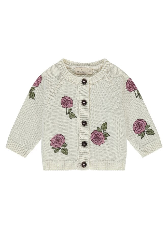 Baby cardigan - Ecru