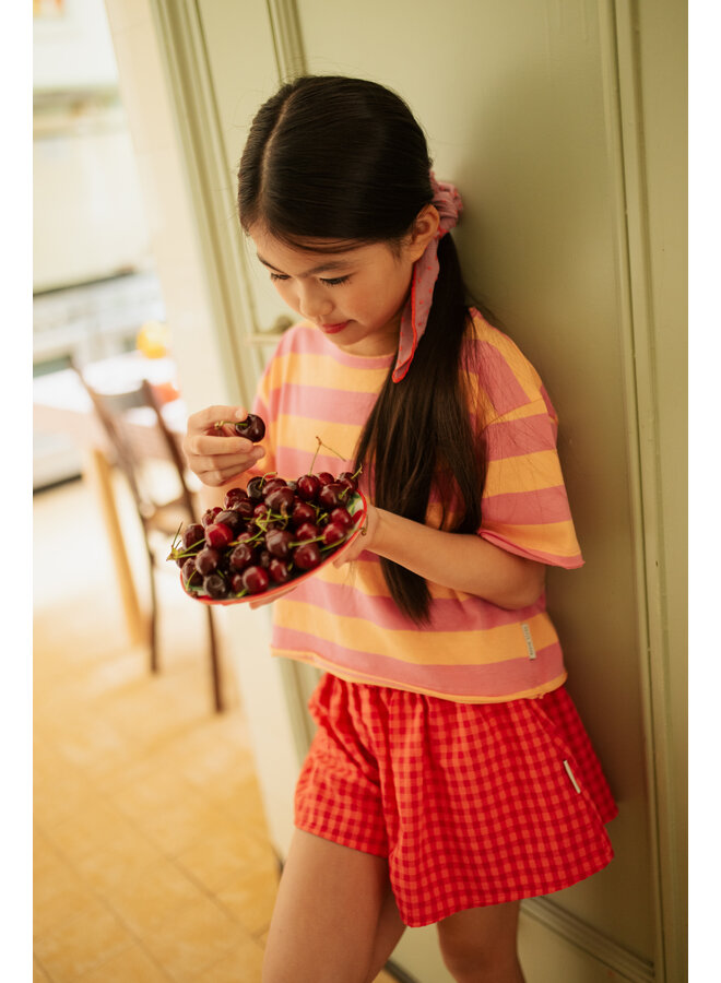 Petit Blush - Stripe t-shirt - Cashmere rose/Peach cobbler