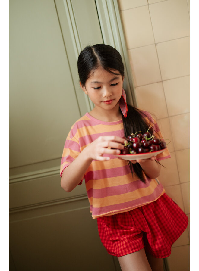 Petit Blush - Stripe t-shirt - Cashmere rose/Peach cobbler