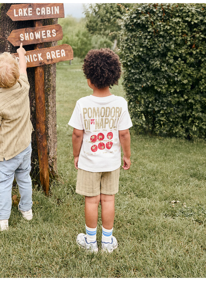 Daily7 - Shorts small stripe - Pale olive green