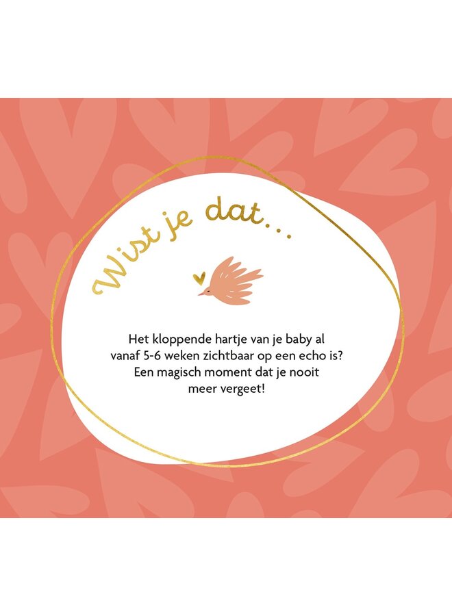Lantaarn Publishers - Levensmomenten - Hoera, je bent zwanger