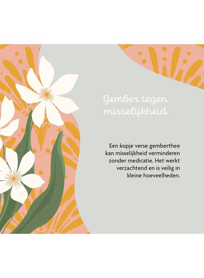 Lantaarn Publishers - Levensmomenten - Hoera, je bent zwanger