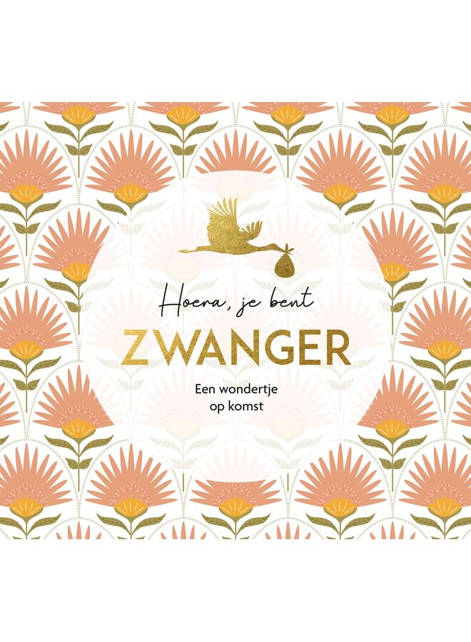 Levensmomenten - Hoera, je bent zwanger