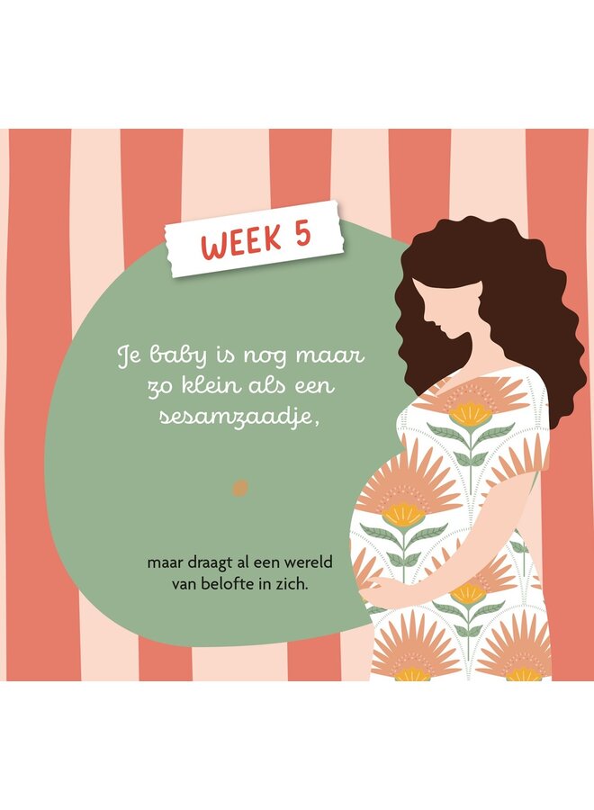 Lantaarn Publishers - Levensmomenten - Hoera, je bent zwanger