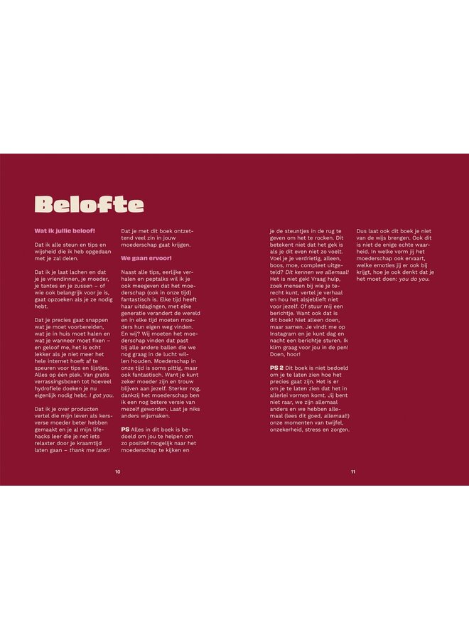 Lantaarn Publishers - De kersverse moeder