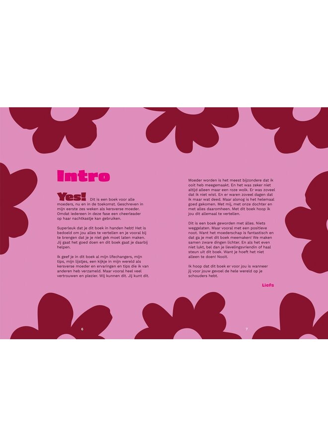 Lantaarn Publishers - De kersverse moeder