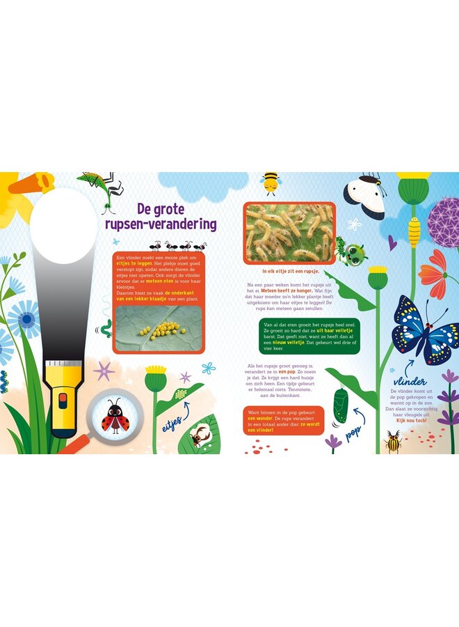 Lantaarn Publishers - Speuren naar vlinders