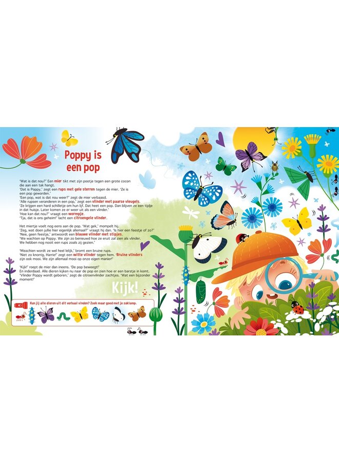 Lantaarn Publishers - Speuren naar vlinders