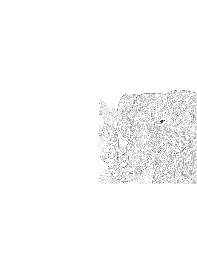 Lantaarn Publishers - Wild beauty - mandala kleurset