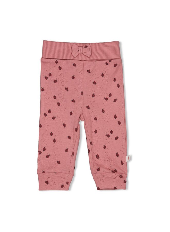Feetje - Broek ajour rib AOP - Ladybug - Roze