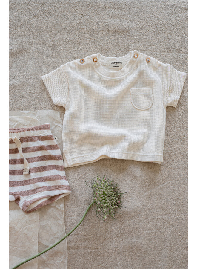 1+ in the family - Delion s.sleeve t-shirt - Ecru