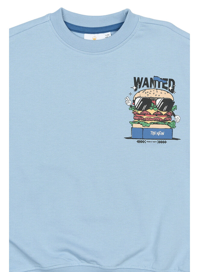 The New - Steven oversized sweatshirt - Forever blue