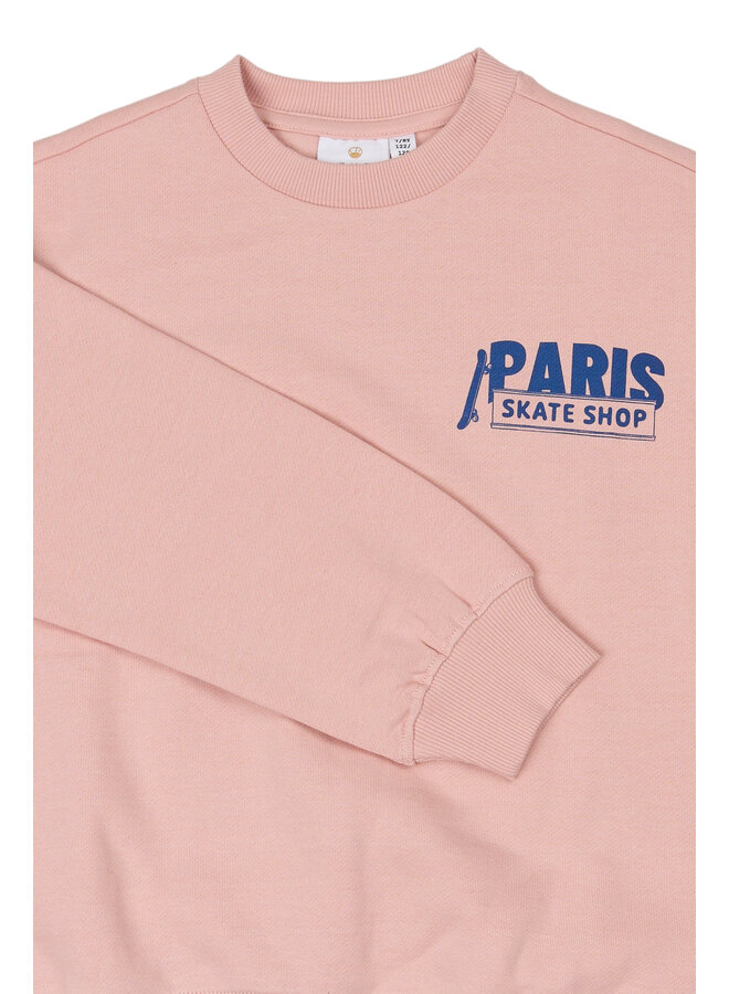 The New - Seyn oversized sweatshirt - Silver pink