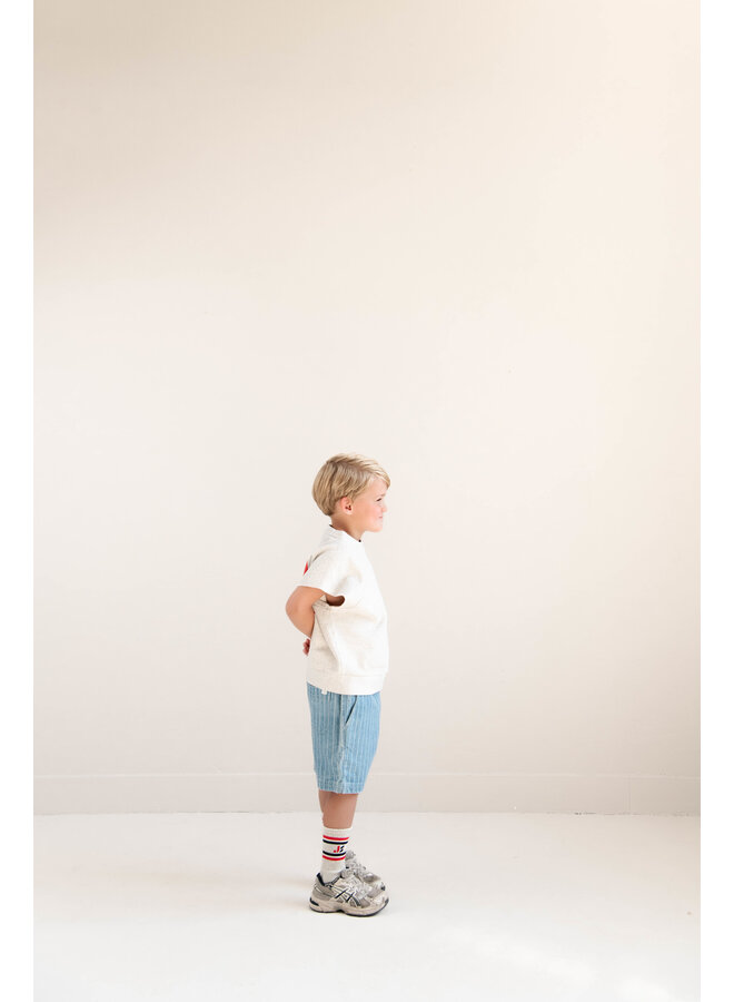 Jenest - Knox stripe shorts - Indigo stripe