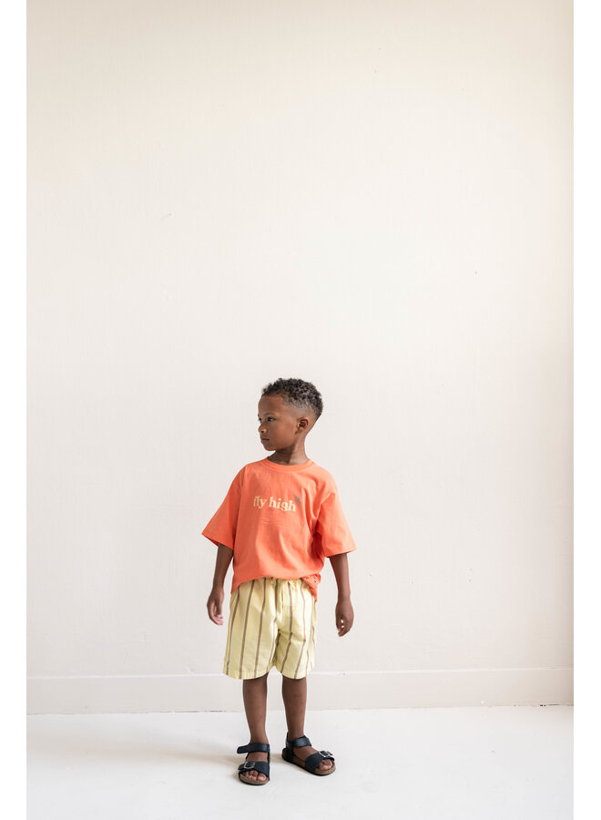 Jenest - Knox shorts - Soft yellow stripe