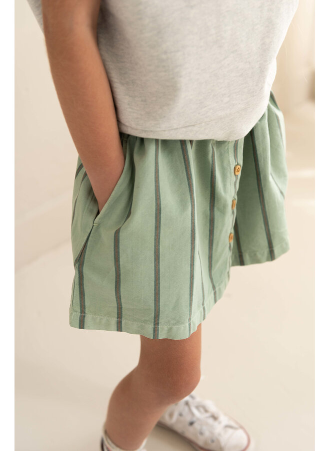 Jenest - Sasha skirt - Sage green stripe
