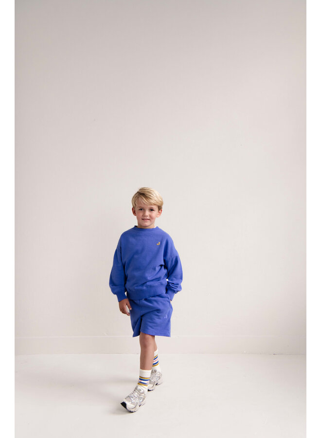 Jenest - Jack sweater - Cobalt blue