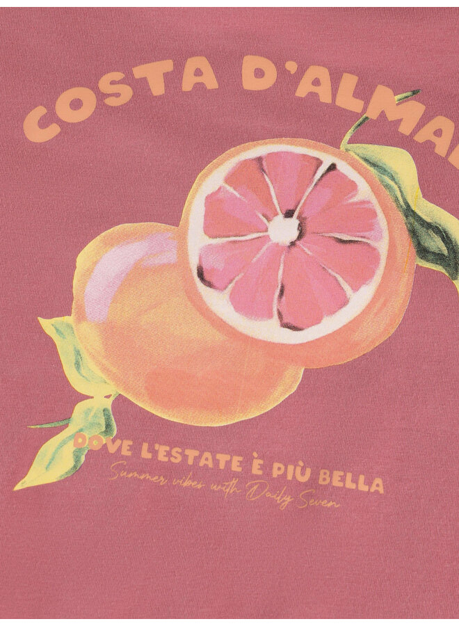 Daily7 - T-shirt backprint - Heather rose