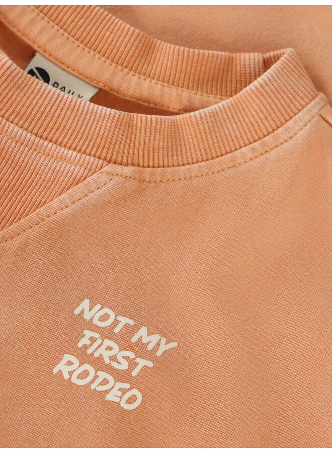 Daily7 - T-shirt backprint - Sandstone