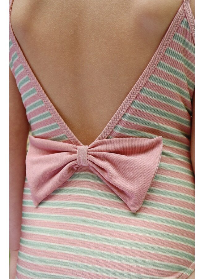 Bowwow swimsuit - Blush stripe