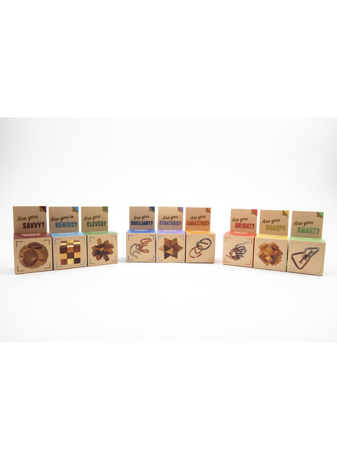 Recent Toys - Are you series puzzles