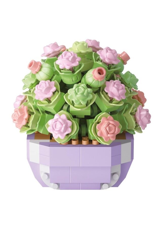 Moses - 82174 - Brick garden plant 6 cm