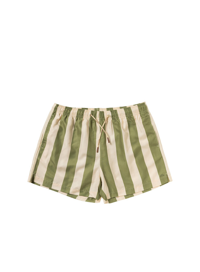 Salted Stories - Wide stripe swim shorts men - Iguana