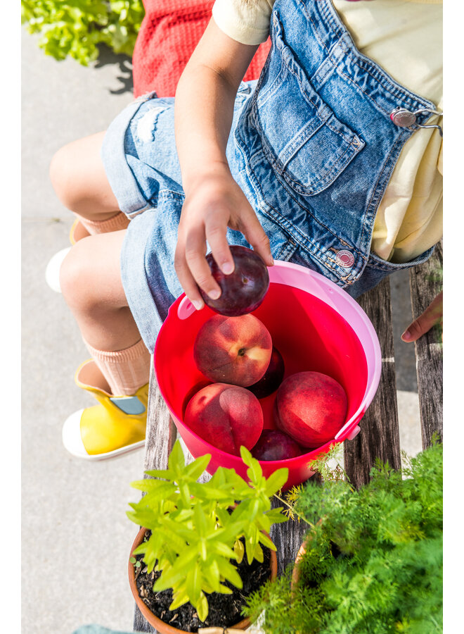 Quut - Bucki - Cherry/Banana/Pink