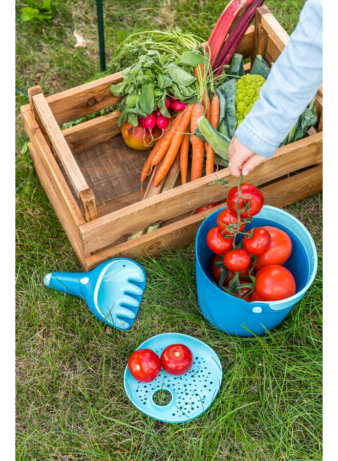 Quut - Bucki - Ocean