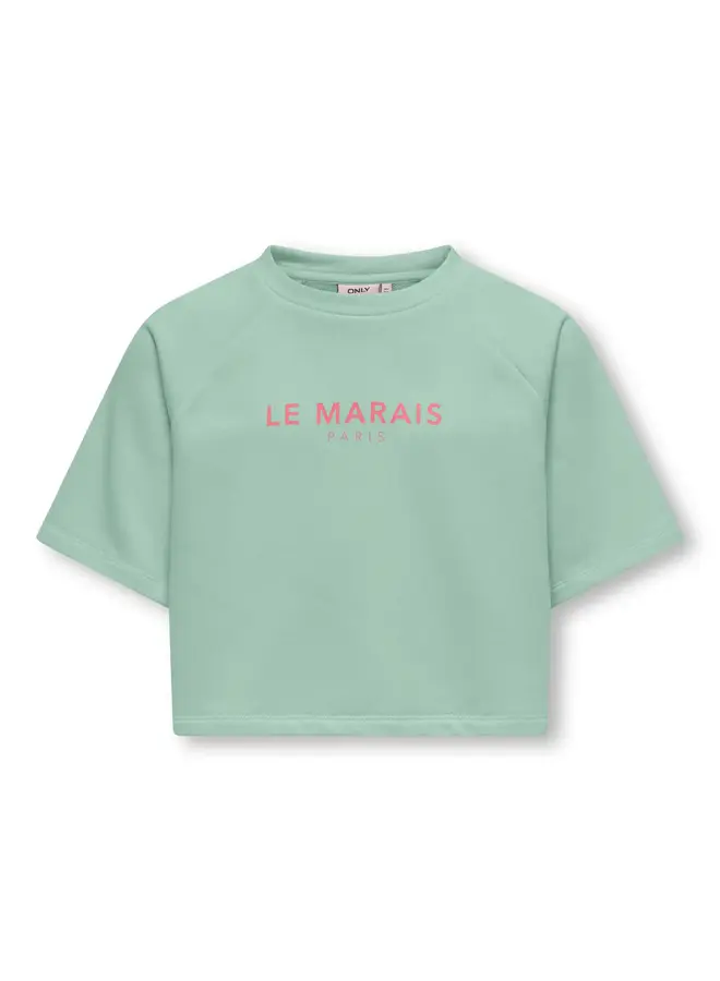Cora ss print o-neck sweat - Aqua foam le marais