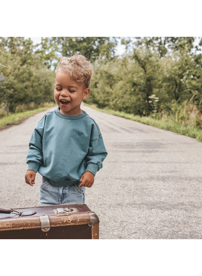 Your Wishes - Garment dye wide sweater - Dragonfly