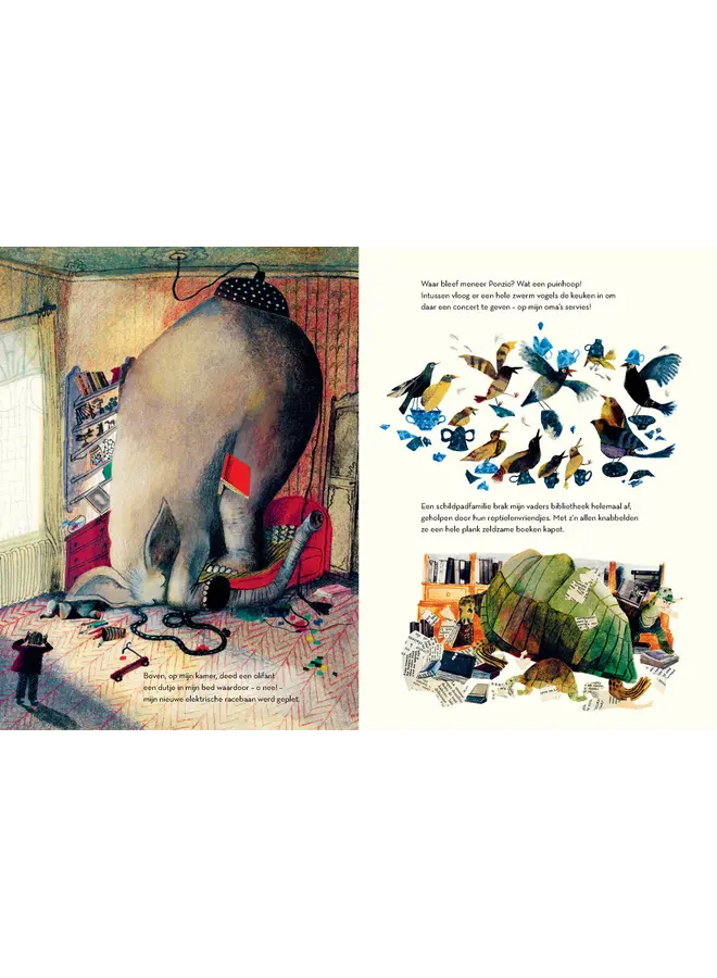 Uitgeverij Boycott - Beatrice Alemagna - Harold Snipperpots leukste ramp aller tijden