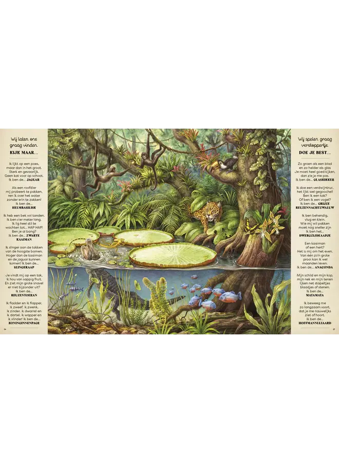 Uitgeverij Boycott - Het wilde dieren zoekboek