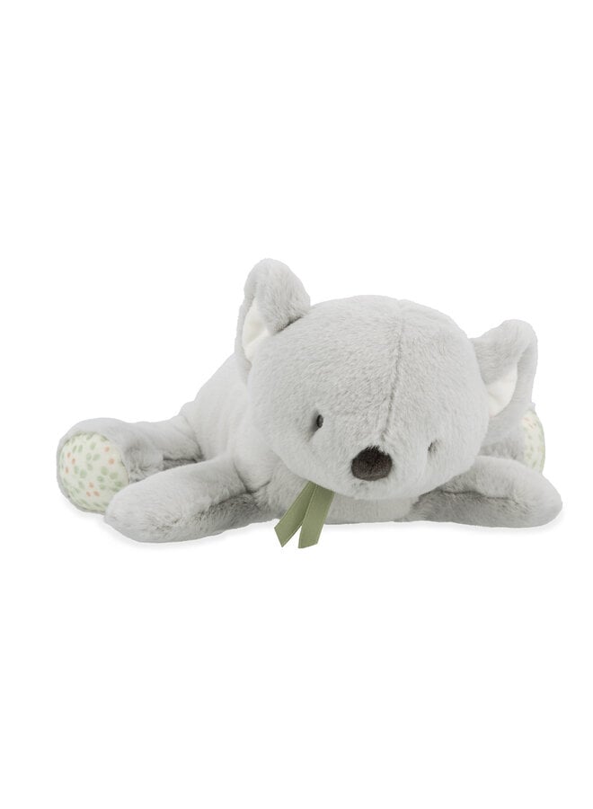 Kaloo - Petit songe - Zware koala