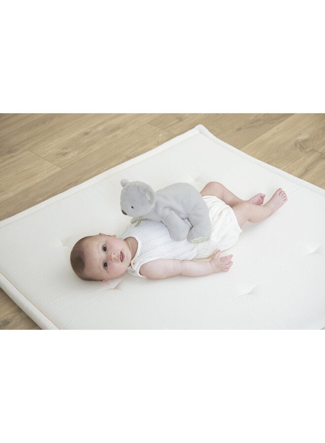 Kaloo - Petit songe - Zware koala