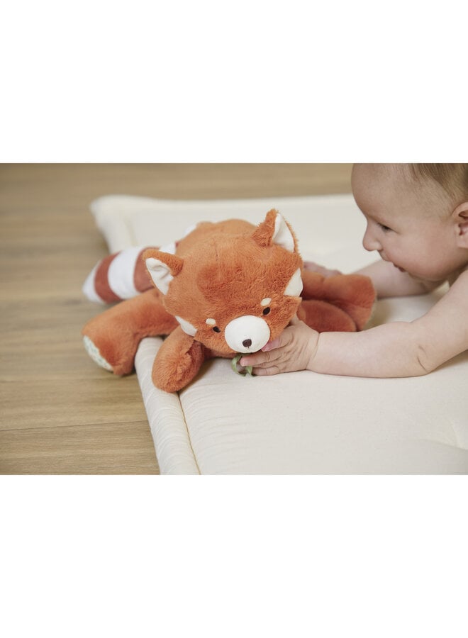 Kaloo - Petit songe - Zware rode panda