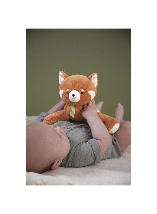 Kaloo - Petit songe - Zware rode panda