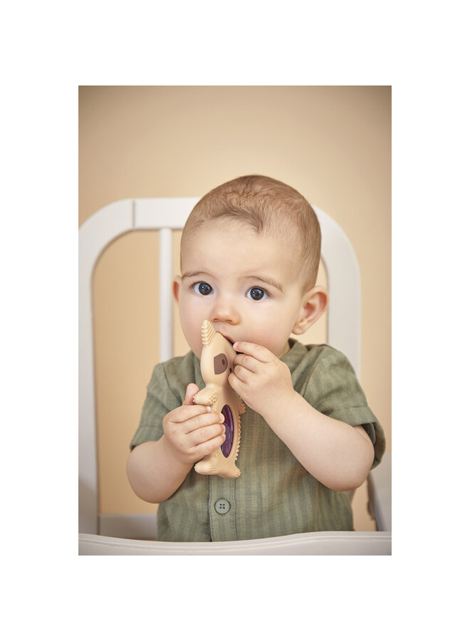 Kaloo - Grignoti - Bijtring en verkoeler dou wasbeer