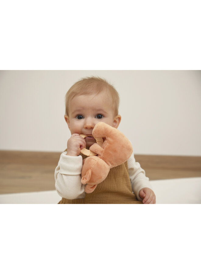 Kaloo - Grignoti - Bijtring en knuffel eekhoorn