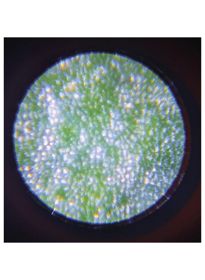 Janod - 6303 Happy garden - Microscoop