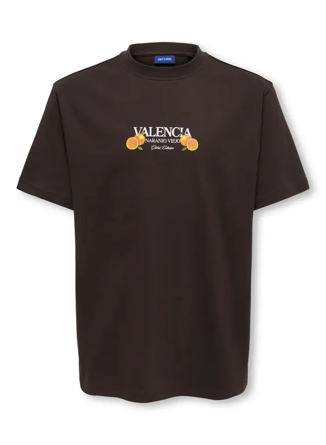 ONLY & SONS Junior - Tasty relax ss tee – Black Coffee / Valencia